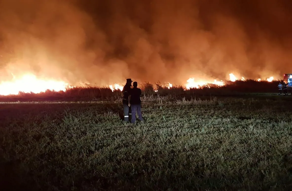 Incendiu de vegetație pe o suprafață de circa 100 hectare