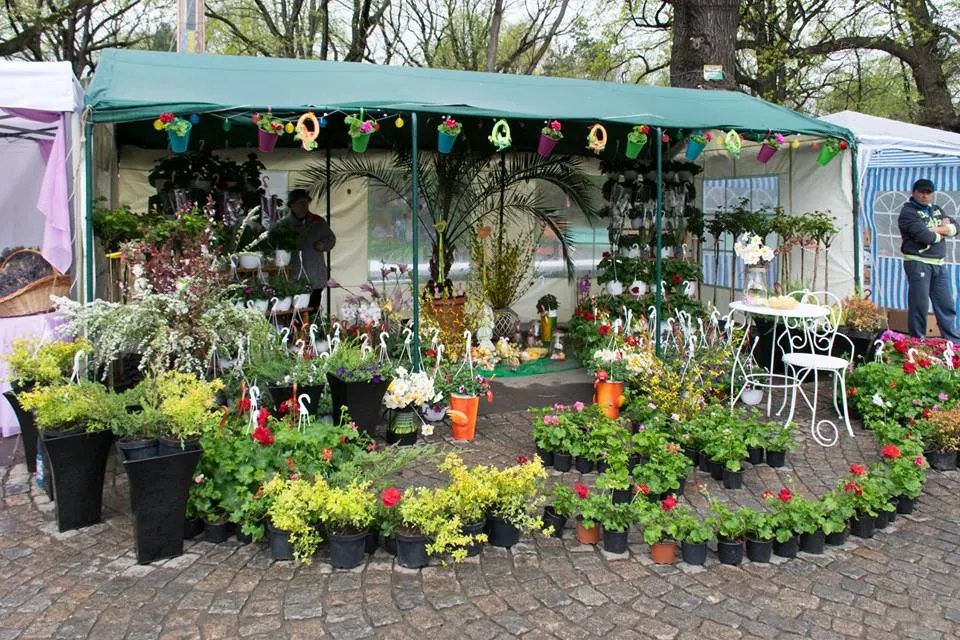 În weekend vom avea Festivalul Florilor de primăvară”