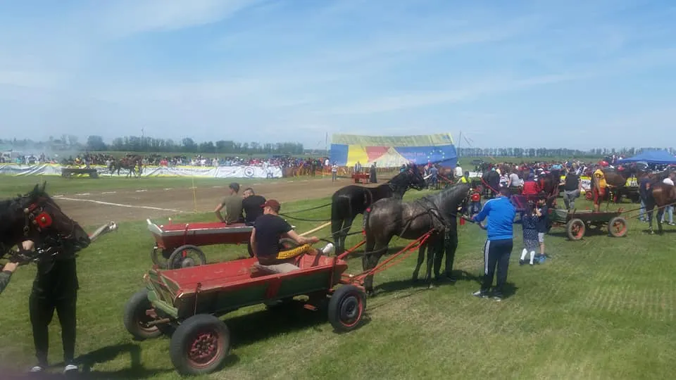 Cursă de căruțe organizată pentru al 8-lea an la Ianca