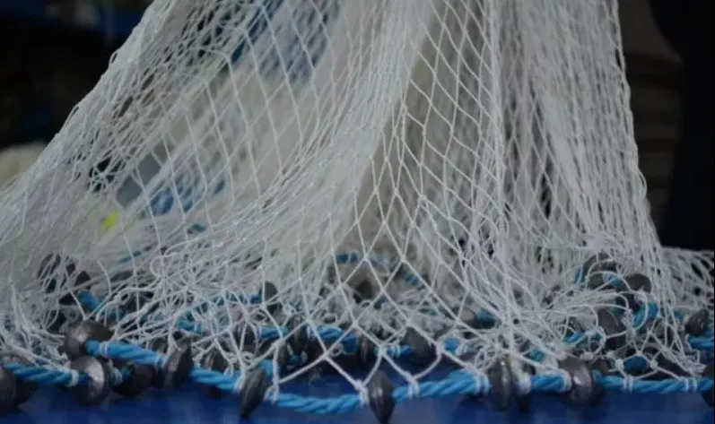 Brăilean, prins de jandarmi la pescuit, cu două prostovoale!