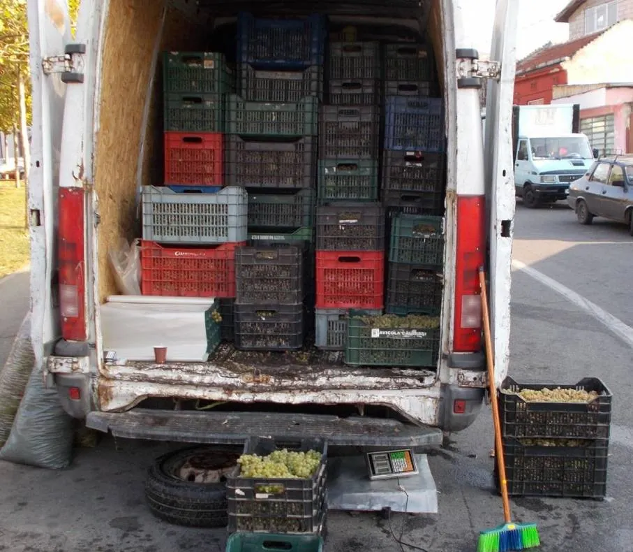 Peste două tone de struguri fără documente confiscate de polițiști