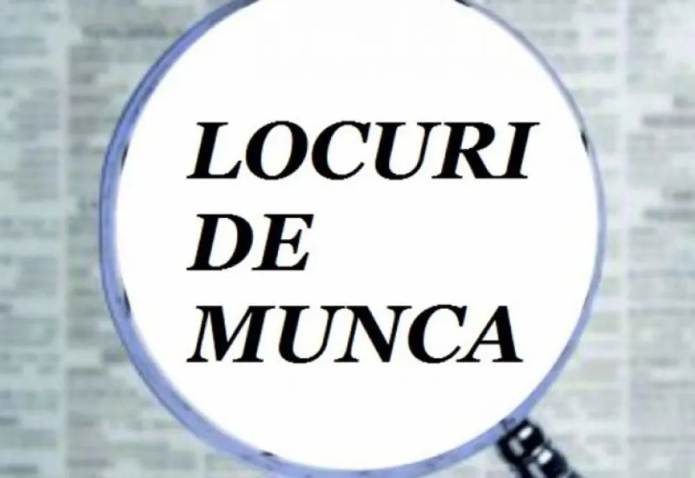 250 de locuri de muncă vacante în Brăila