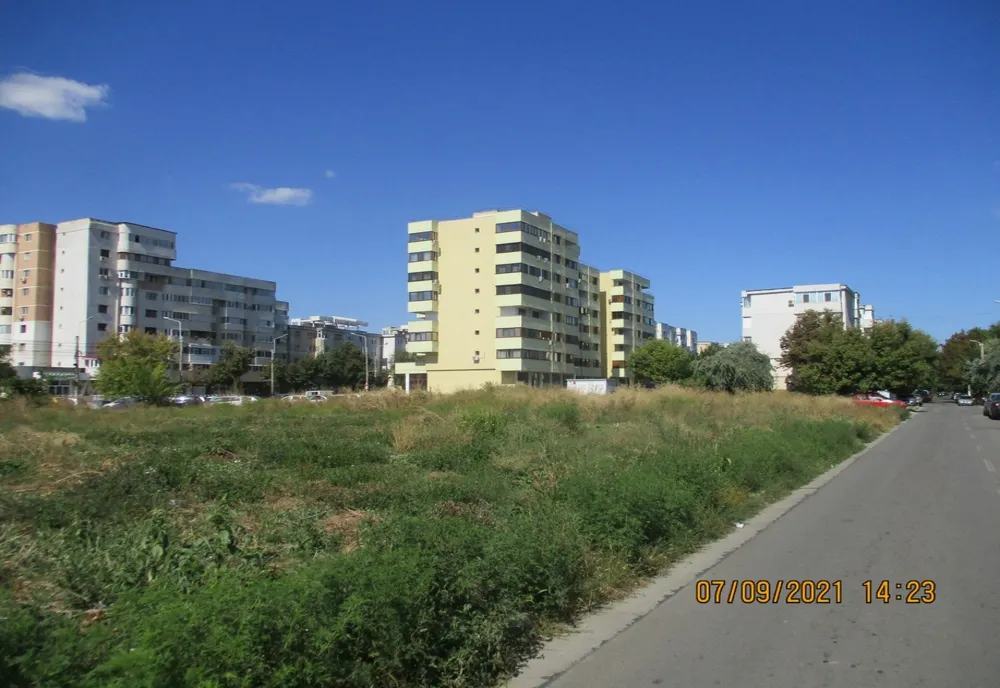 Sancționați cu avertisment pentru că nu au curățat terenurile pe care le au în proprietate de buruiana ambrozia