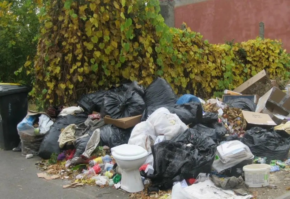Video: Surprinși în timp ce aruncau gunoaie pe domeniul public