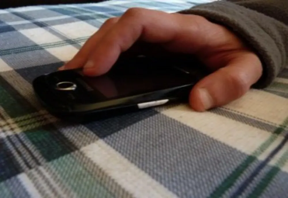 Un brăilean de 22 de ani a profitat de neatenția unei persoane și i-a furat telefonul