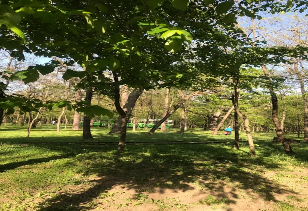 De luni, 8 mai, se întrerupe circulația tramvaielor în Brăila. Încep lucrările pe calea de rulare tramvai din Parcul Monument