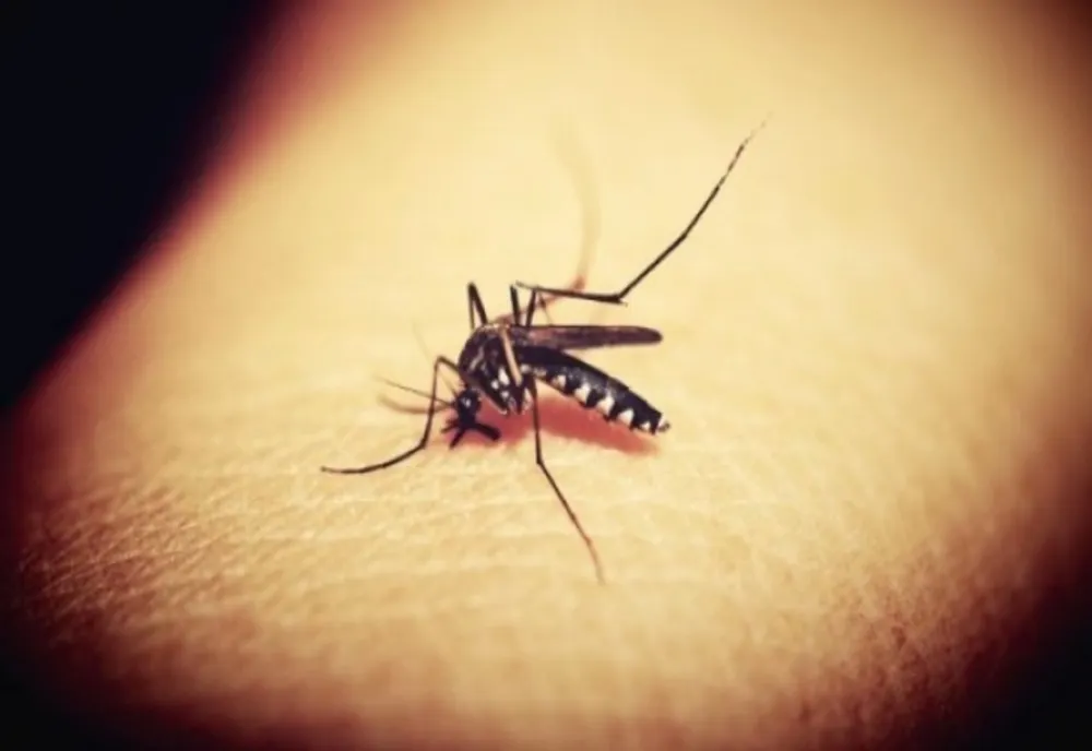 INSP: 27 DE CAZURI DE INFECŢIE CU VIRUSUL WEST NILE DIN 3 IUNIE; TREI DECESE