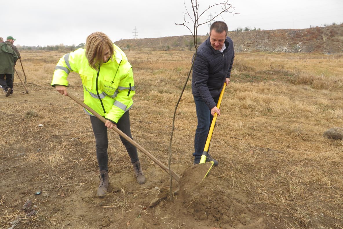 100 de stejari pentru 100 ani de la Marea Unire