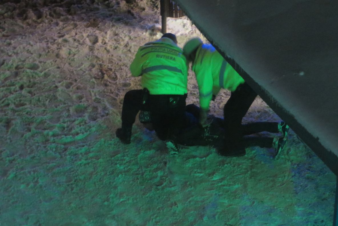 S-au dat ”cocoși”, dar au fost încătușați și amendați de Poliția locală