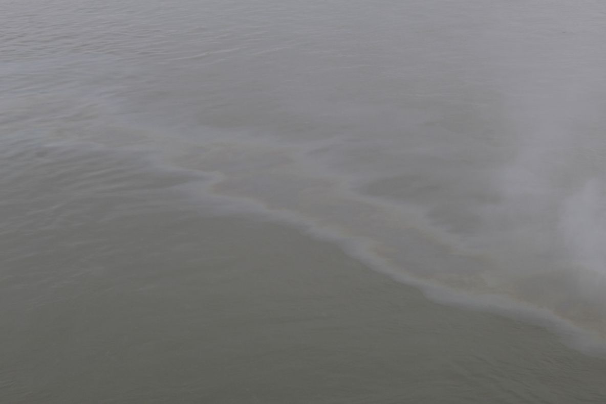 Garda de Mediu Brăila a aplicat la finalul anului trecut două amenzi în valoare totală de 50.000 lei