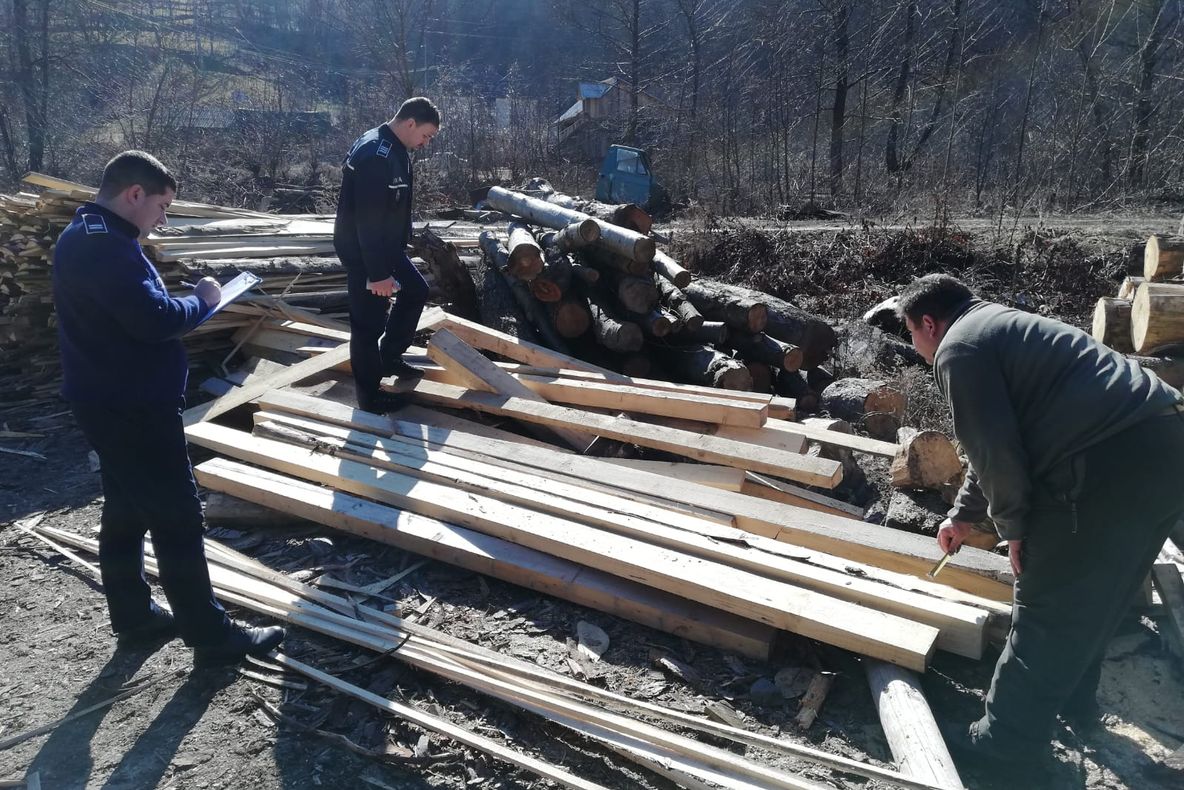 Accident mortal pe DN1B produs din vina unul șofer brăilean