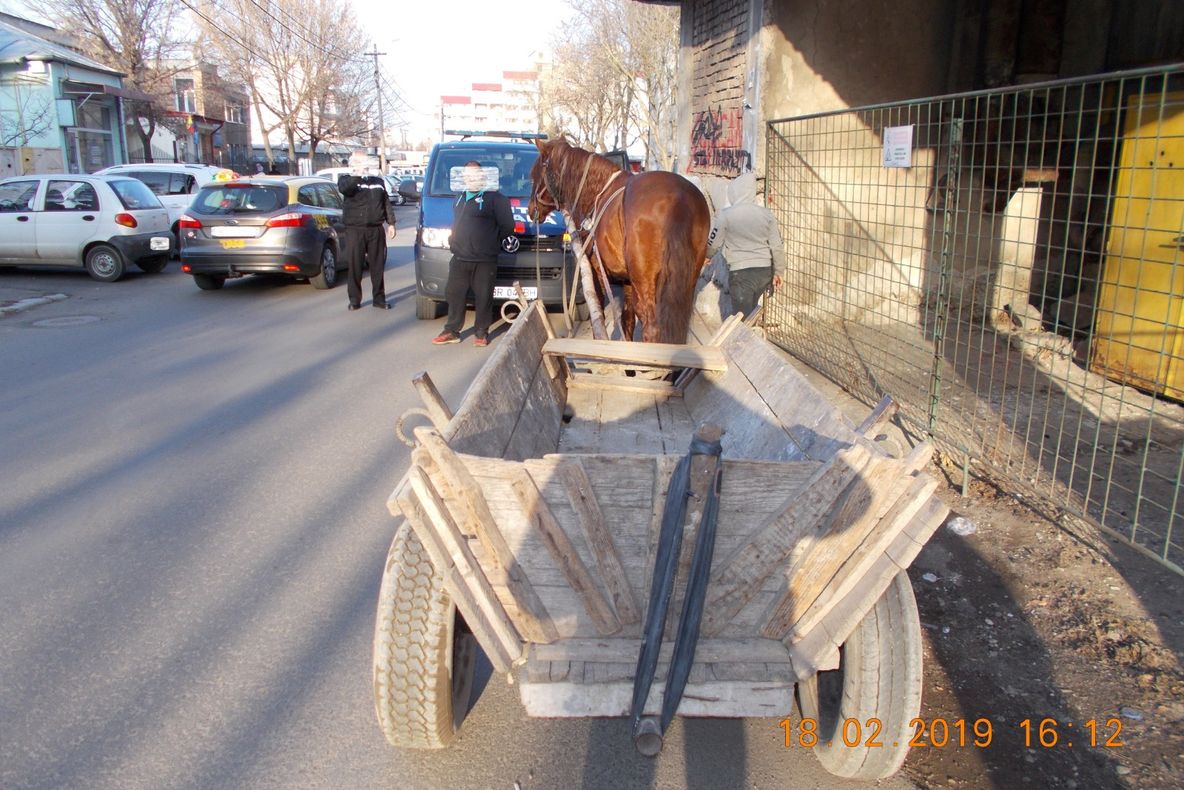 Amendați pentru circulația cu atelaje hipo pe străzile din municipiu