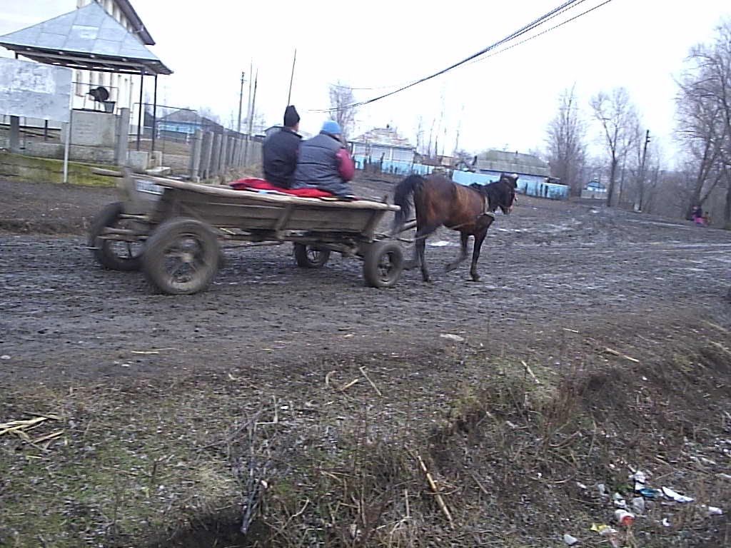 Prins cu produsele agricole furate în căruță