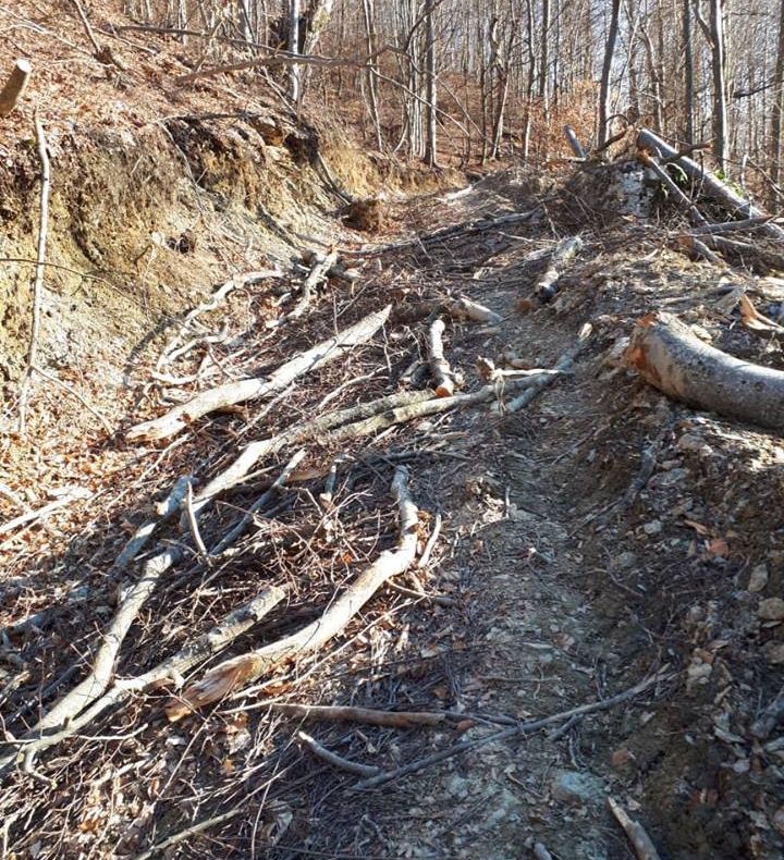 Peste 1100 pachete de țigări de contrabandă ridicate în urma unor percheziții în Brăila