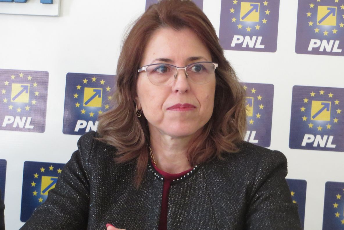 Antoneta Ioniță: PSD a venit cu un buget nesustenabil