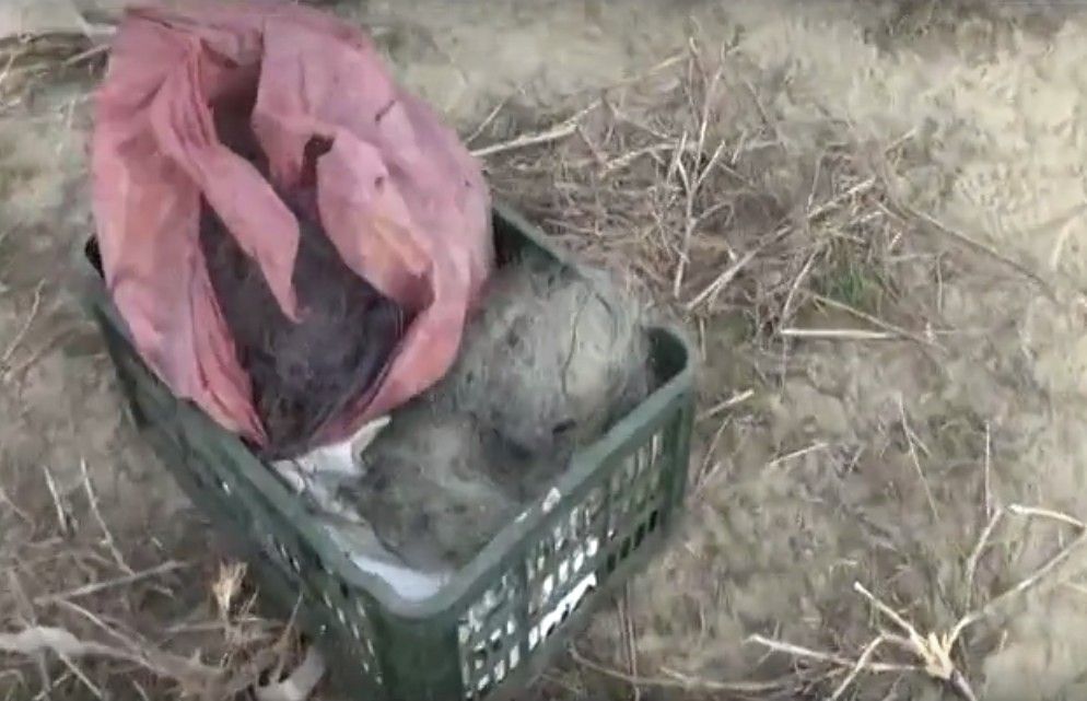 Pescuitul ilegal l-a băgat după gratii! Un brăilean va sta închis 8 luni pentru folosirea plaselor monofilament!