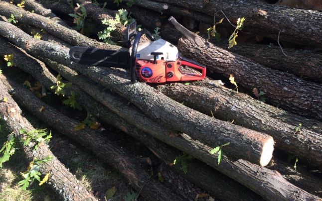 Autoutilitară, pusă sub sechestru, depistată pe drum în Salcia Tudor