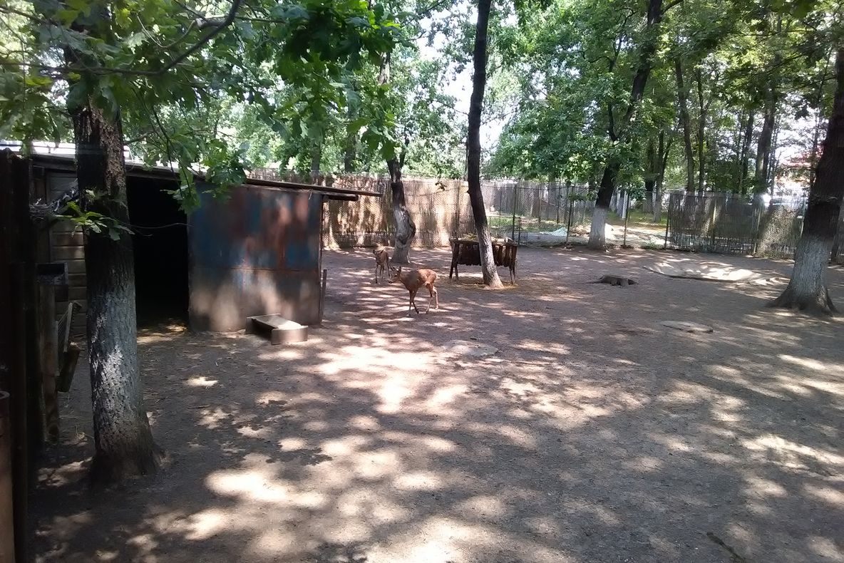 DSV Brăila dezminte că animalele din Grădina Zoo de la Brăila nu sunt îngrijite cum trebuie