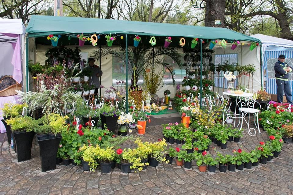 În weekend vom avea Festivalul Florilor de primăvară”