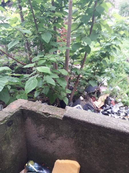 Bărbat fără permis, depistat de polițiști, la volan!