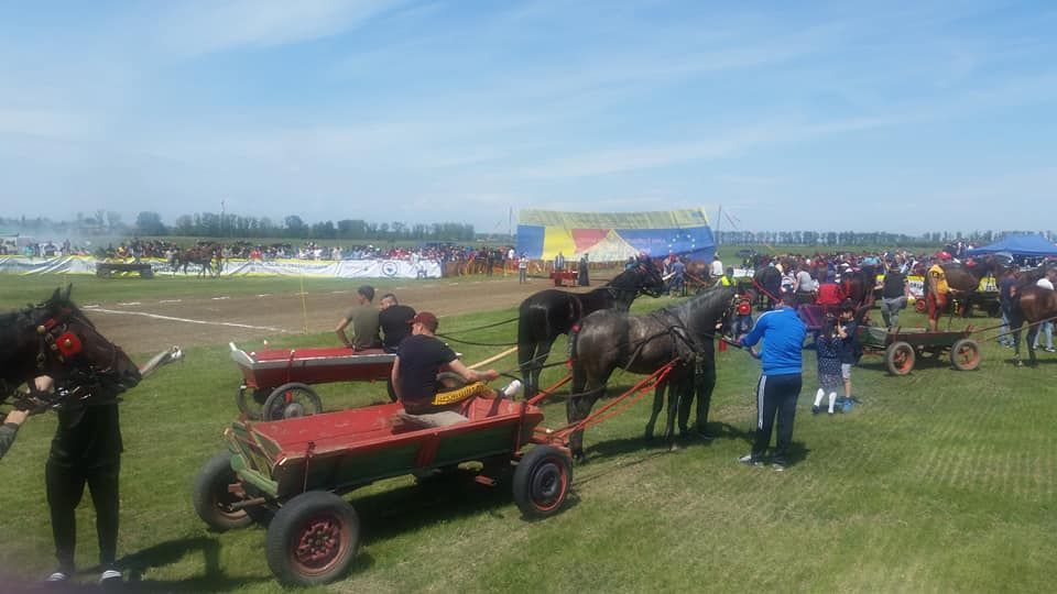 Cursă de căruțe organizată pentru al 8-lea an la Ianca