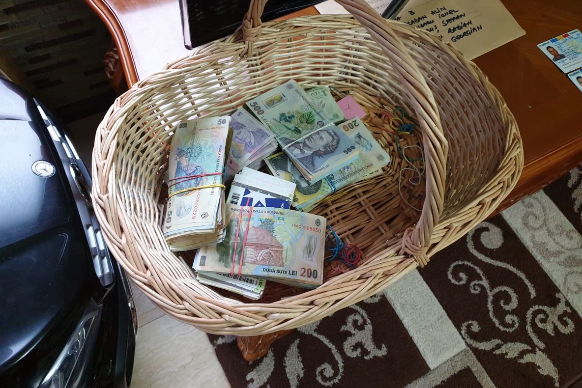 Percheziții domiciliare în țară și la 11 domicilii din județul Brăila. 30 de tone de pește impropriu consumului confiscate