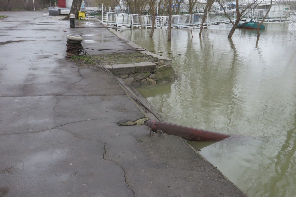 Dunărea a atins cota de inundație la Brăila