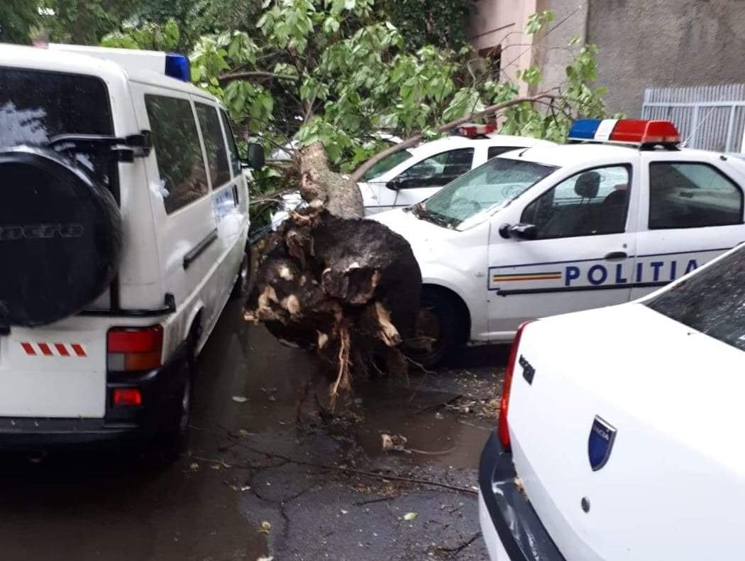 Furtuna a făcut ravagii în Brăila