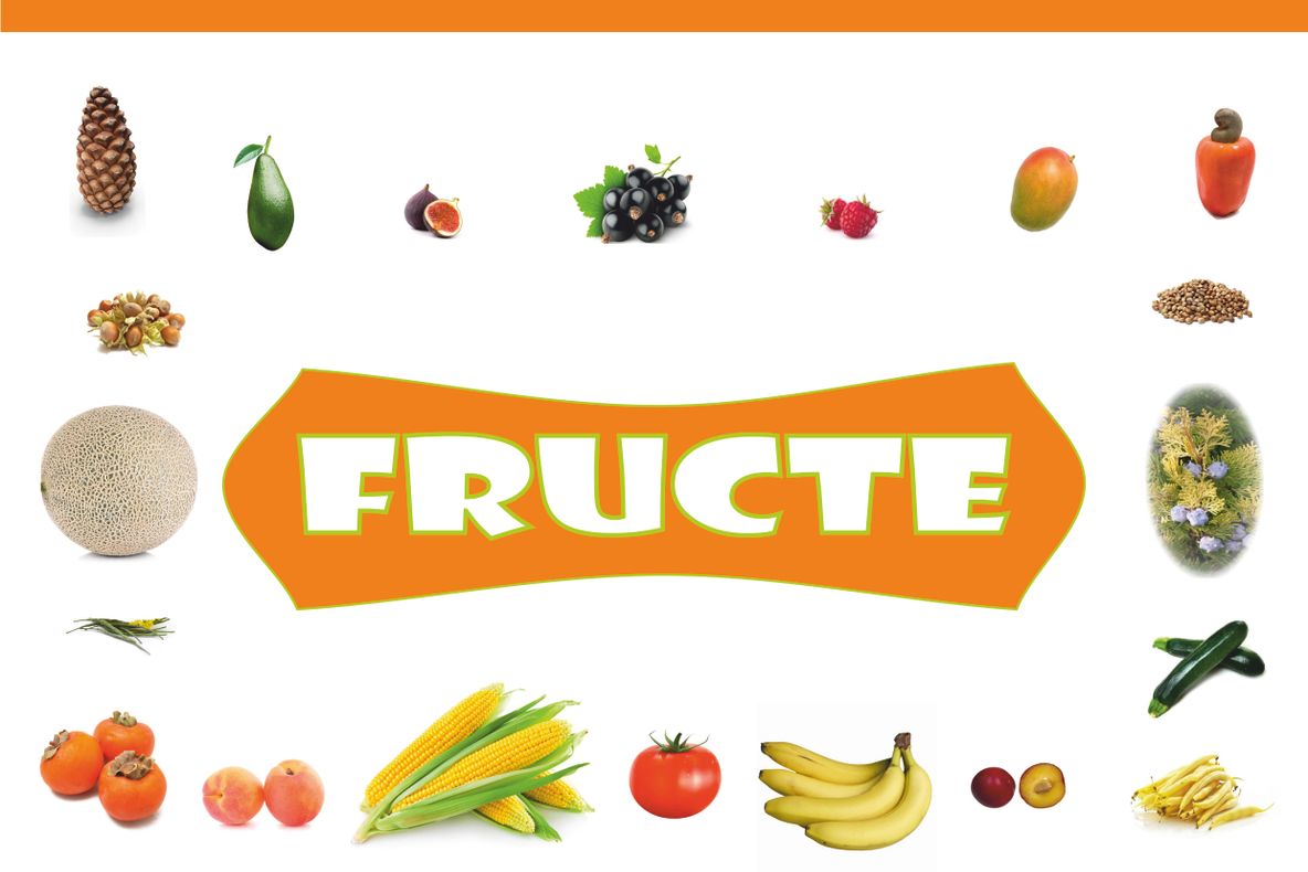 Fotoexpoziție ”Fructe” la Secția „Științele Naturii” a Muzeului Brăilei „Carol I”