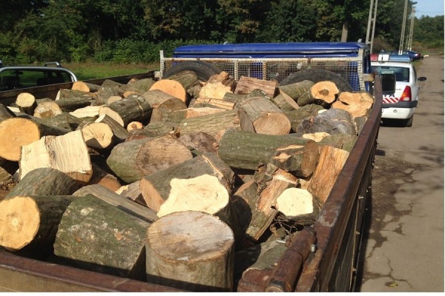 Sancționat cu amendă de 5000 de lei pentru că nu corespundea cantitatea de lemne din mașină cu cea din acte
