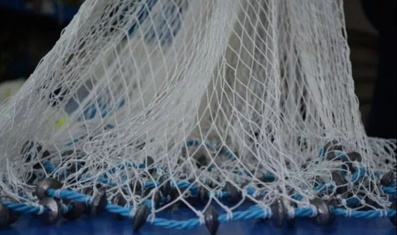 Brăilean, prins de jandarmi la pescuit, cu două prostovoale!