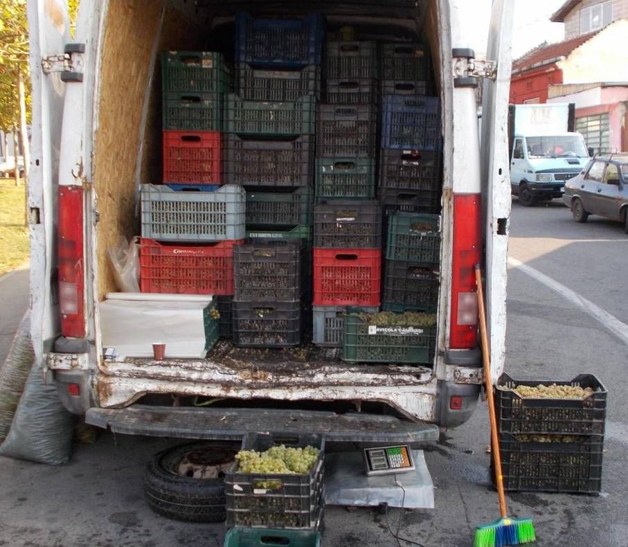 Peste două tone de struguri fără documente confiscate de polițiști