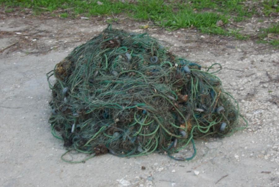 Percheziții în Brăila! Serviciul pentru Acţiuni Speciale a acționat pe raza localității Gropeni!