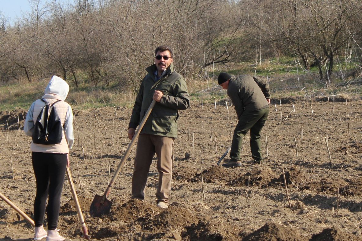 Silvicultorii protesteaza astazi la Bucuresti
