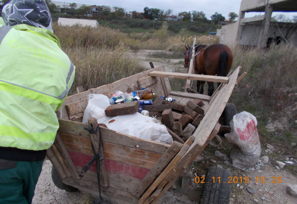 Amenzi ale Poliției Locale pentru aruncarea gunoiului pe domeniul public