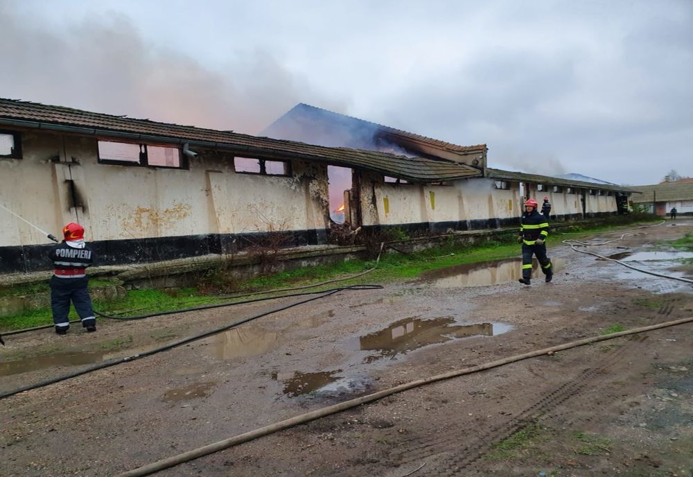 Incendiu la o hală în care era depozitată făină de oase
