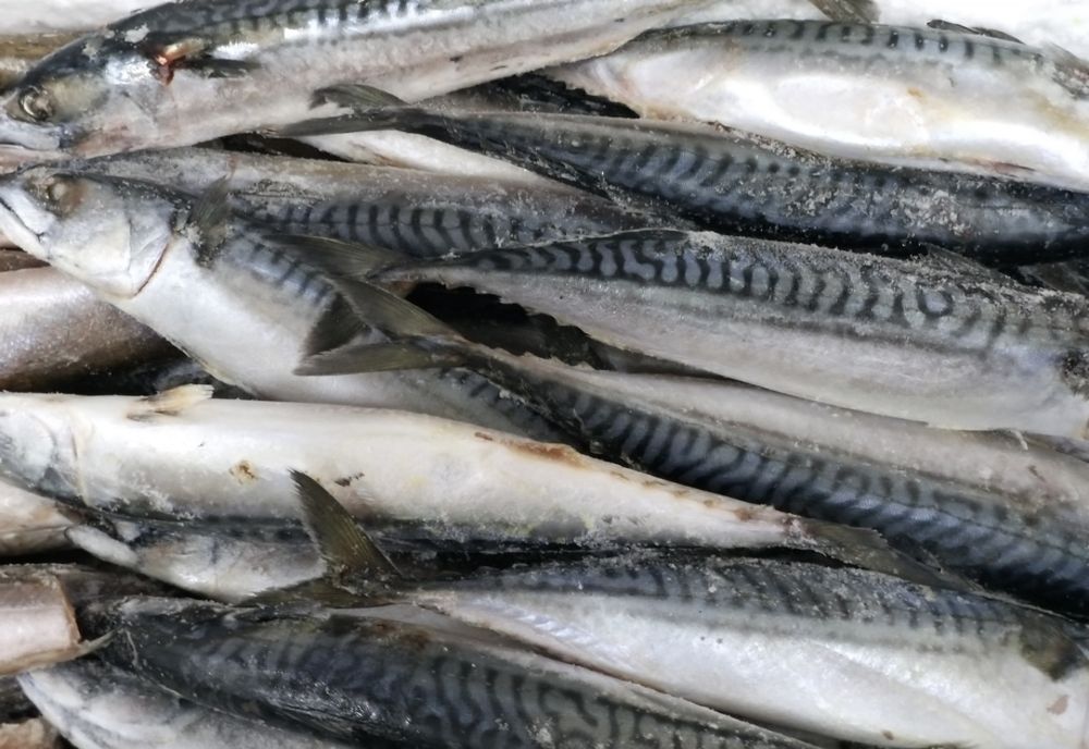 Nereguli într-un complex comercial din Brăila cu igenizarea aparatelor frigorifice