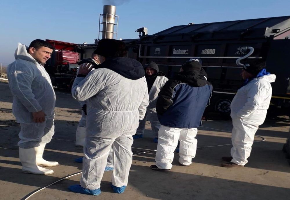 Sâmbătă s-a încheiat sacrificarea porcilor de la ferma din comuna Salcia Tudor, unde a fost confirmat ultimul focar de PPA în județul Brăila