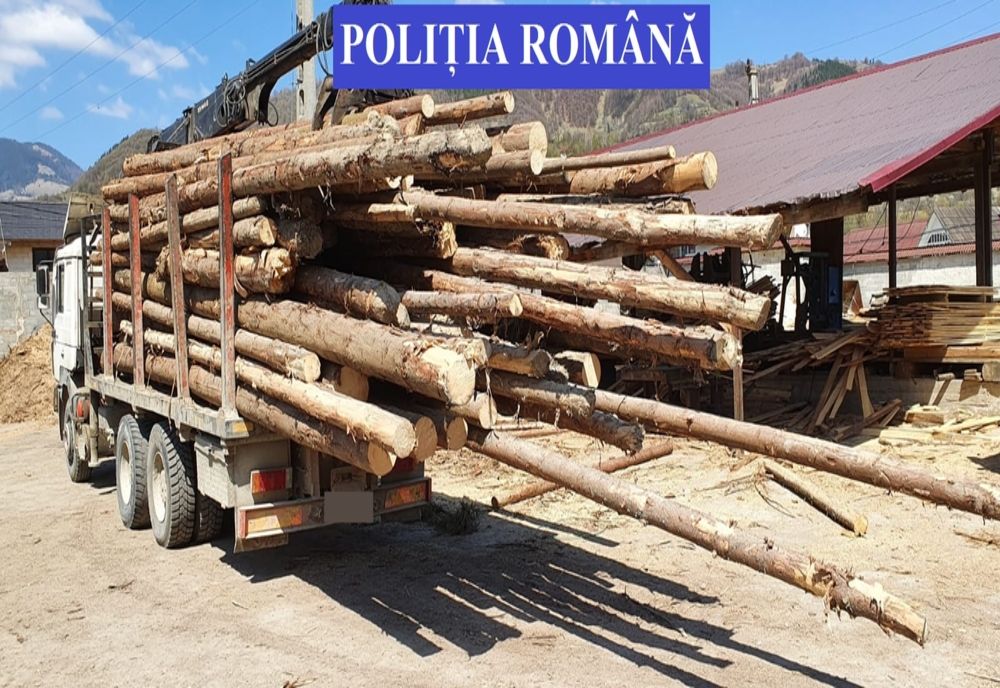 Acțiuni pentru protejarea fondului forestier