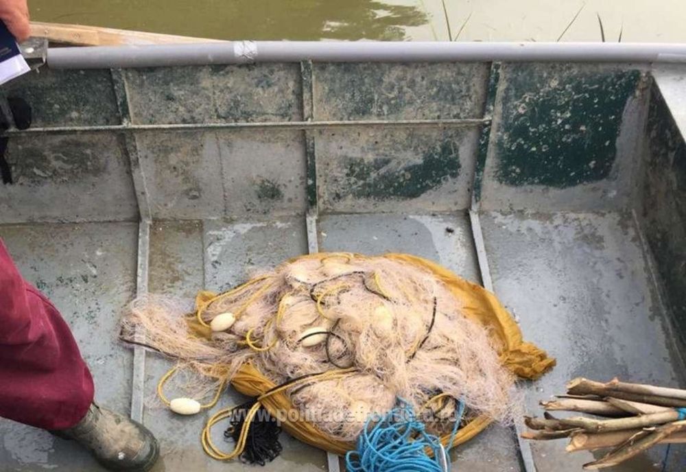 Braconieri pe Dunăre depistați de polițiștii de frontieră brăileni