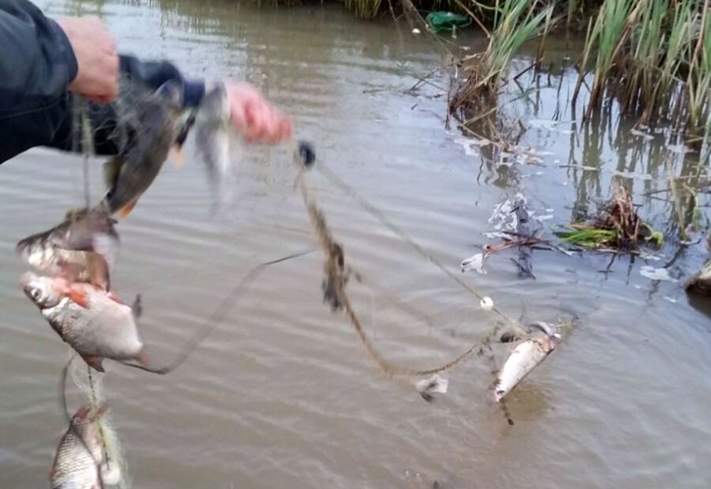 Dosar penal pentru braconaj piscicol, întocmit de polițiștii de frontieră brăileni