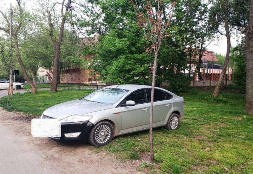 Amendați de Poliția Locală pentru că au intrat cu vehiculele în Parcul Monument în zone interzise