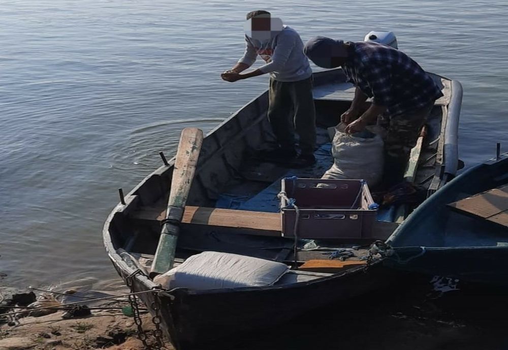 Au căzut în plasa jandarmilor