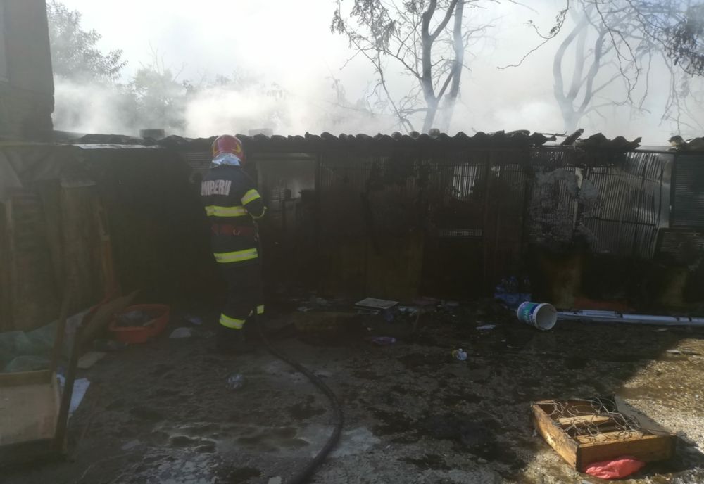 Video: Incendiu la două gospodării cu foc pus intenționat de fiul unuia dintre proprietari