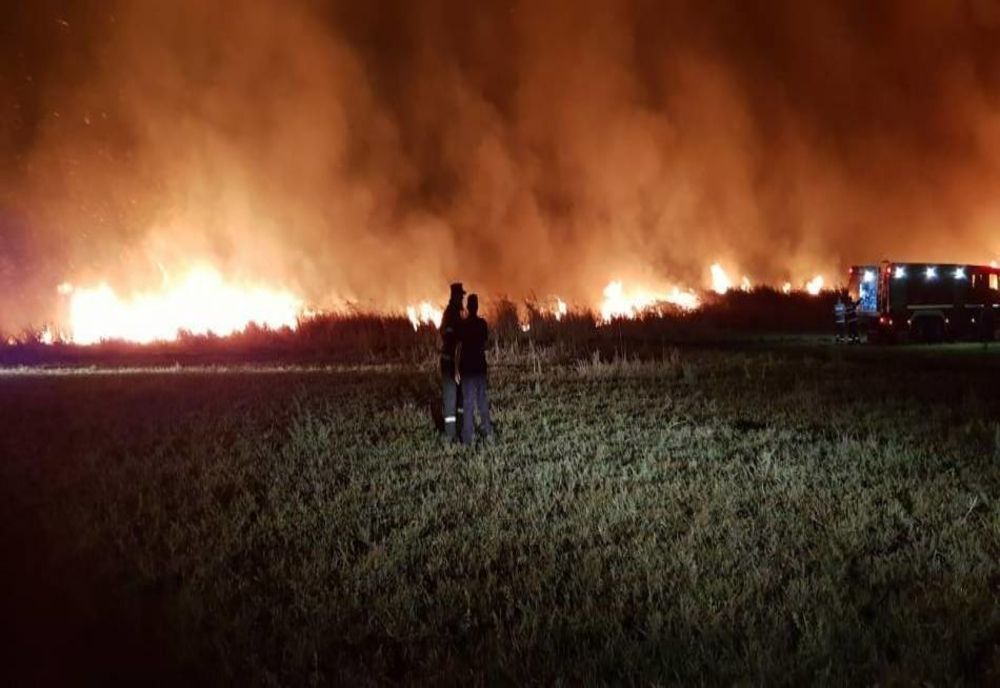 Pompierii de la subunitățile ISU Brăila au intervenit în ultimele 24 de ore pentru lichidarea a 11 incendii de vegetație
