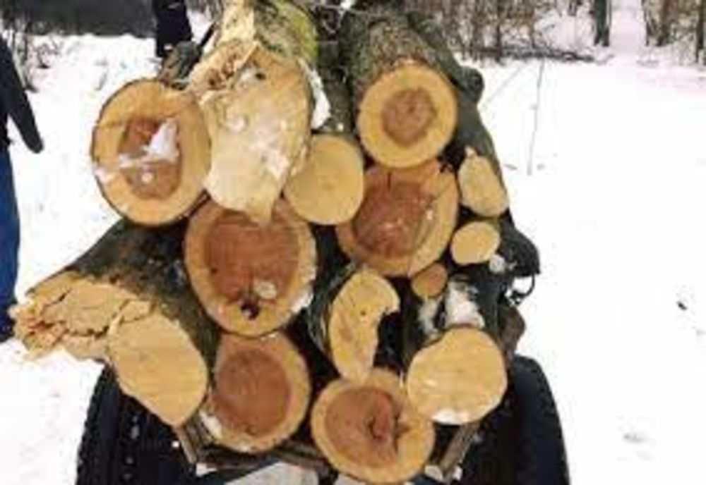 Activităţi de verificare a transportului cu material lemnos 