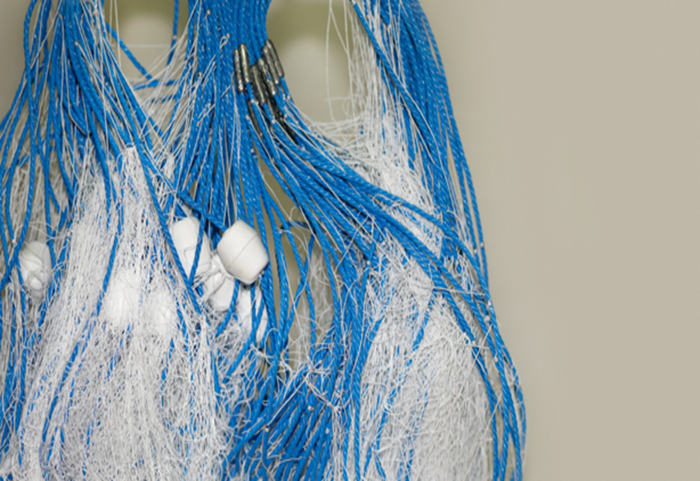 Cercetați penal pentru infracțiuni din domeniul piscicol