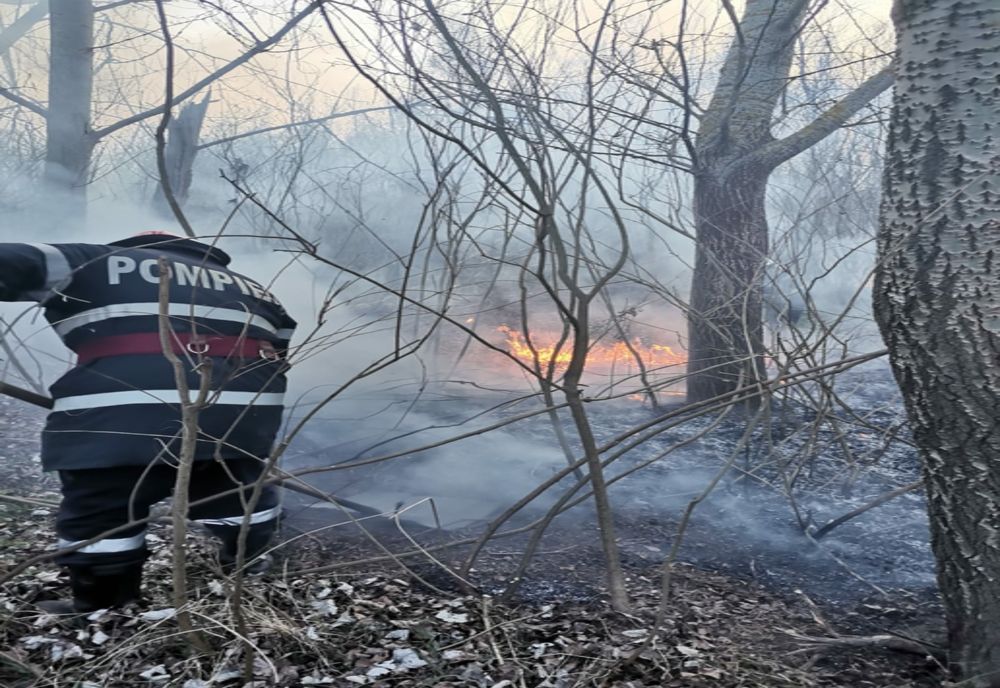 Video: Incendiu de vegetație în Insula Mică a Brăilei