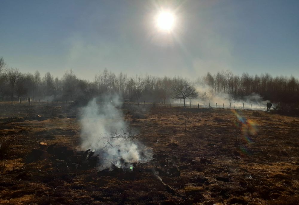 Incendii de vegetație uscată pe o suprafață de circa 27 de hectare