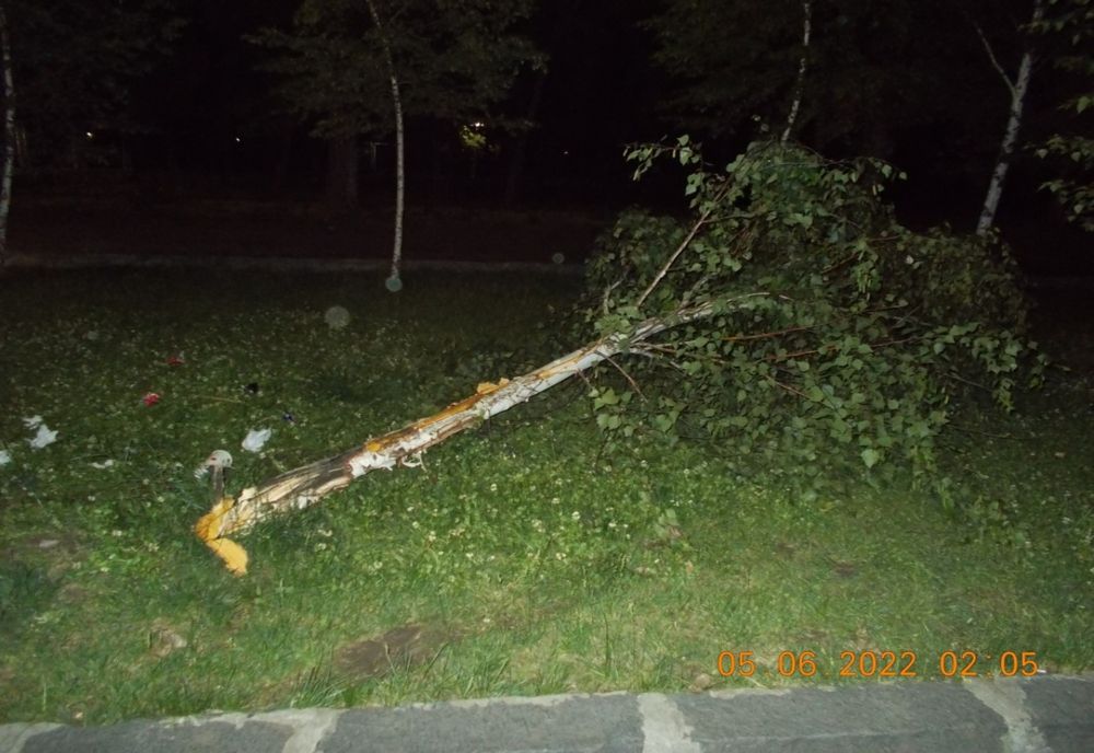 Foto A intrat cu mașina împrumutată într-un copac și un coș de gunoi